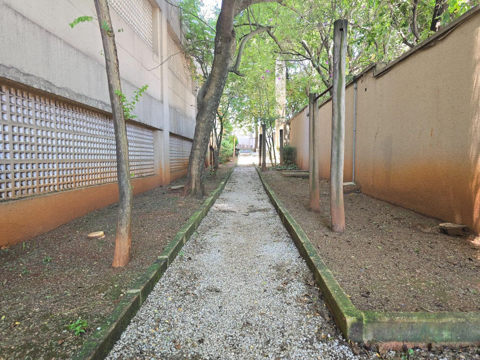 Espaço pet